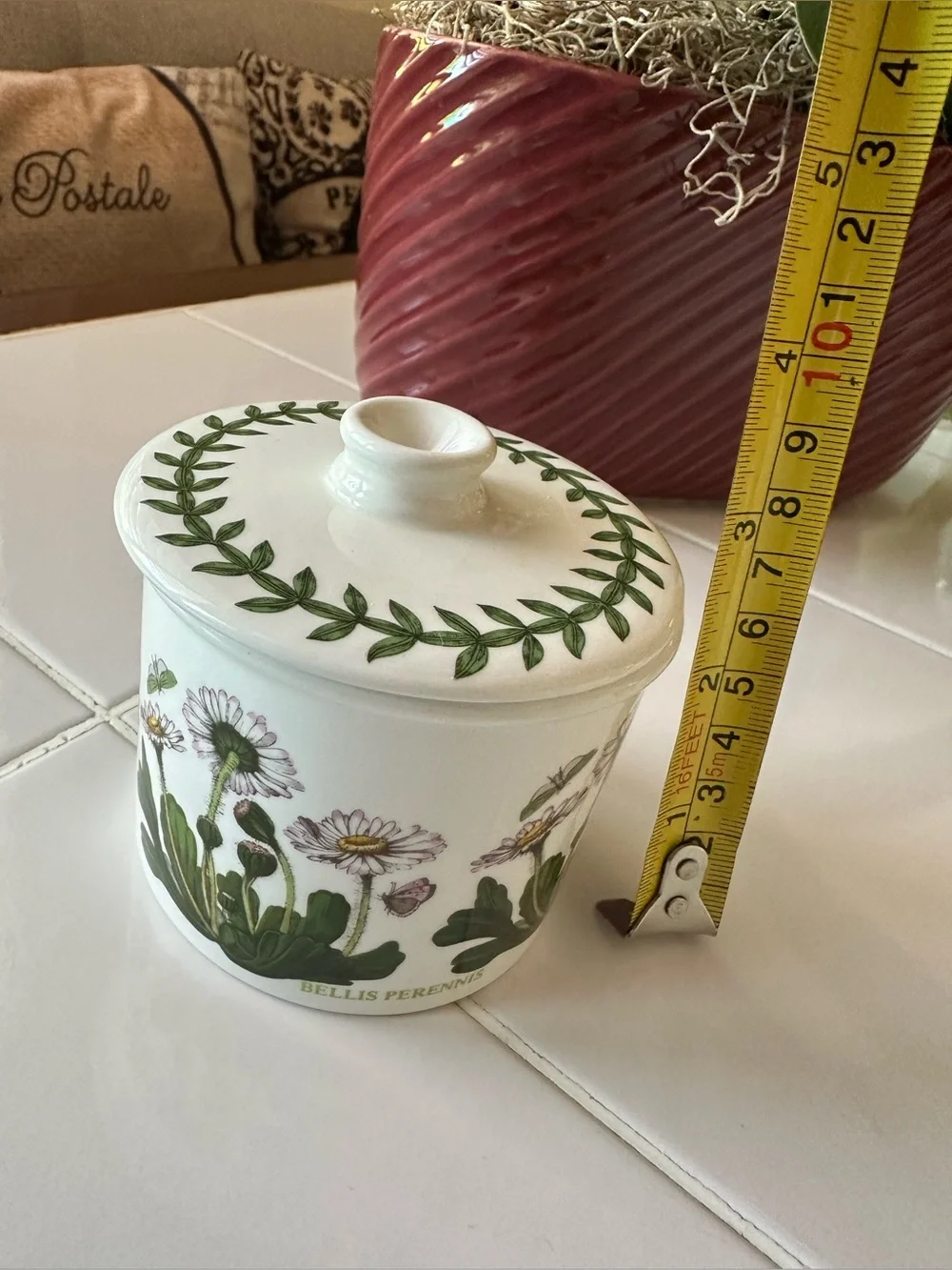Portmeirion Botanic Garden Daisy Bellis Perennis Lidded Canister England